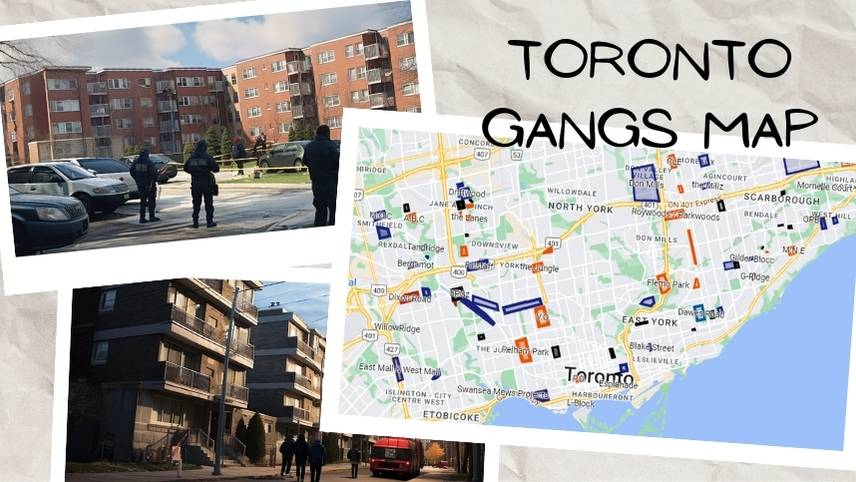 toronto hoods toronto gangs